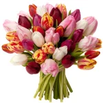 Тюльпаны робкий микс